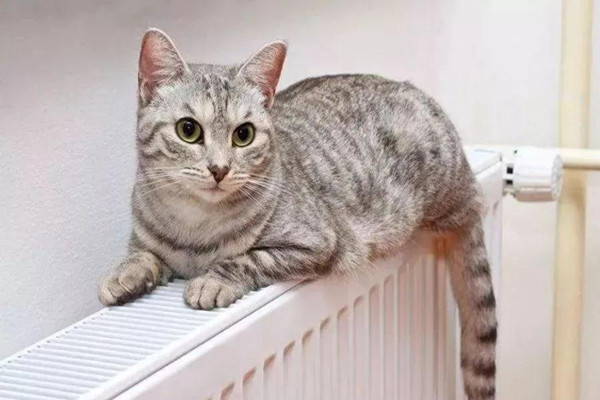 1606445400664596.jpg 微信圖片_20201127103215.jpg