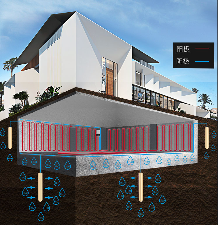 1669883035863338.jpg 1669883035863338.jpg