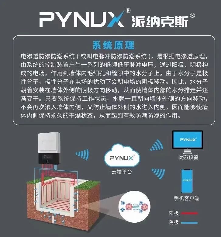 派納克斯 派納克斯