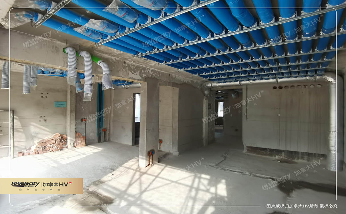 加拿大HV 加拿大HV