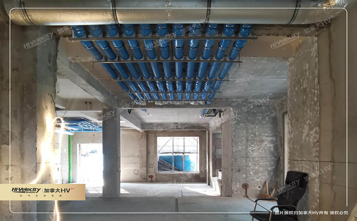 加拿大HV  加拿大HV