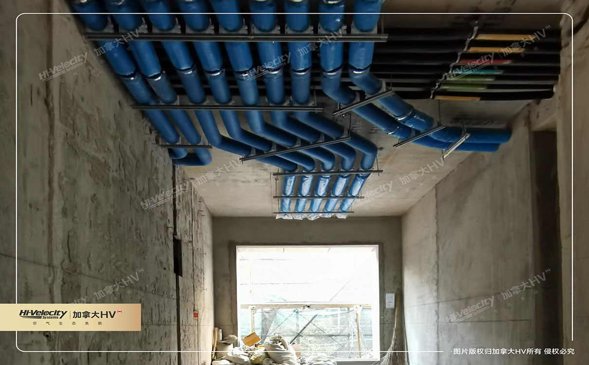 加拿大HV 加拿大HV