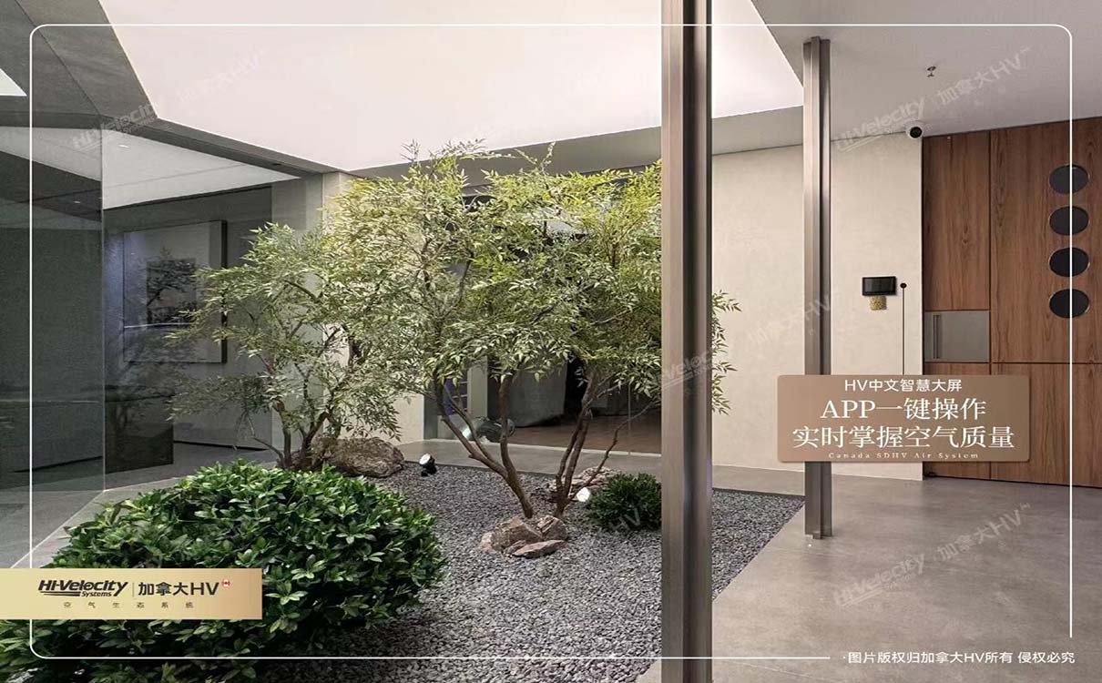 加拿大HV5 加拿大HV5