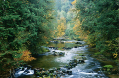 如何挑選適合你家的新風(fēng)系統(tǒng)？看這一篇就可以了！